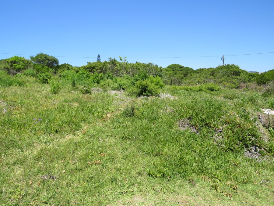 0 Bedroom Property for Sale in Forest Downs Eastern Cape